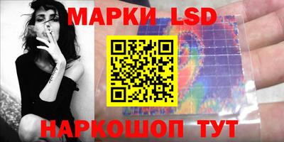 спиды Камышлов