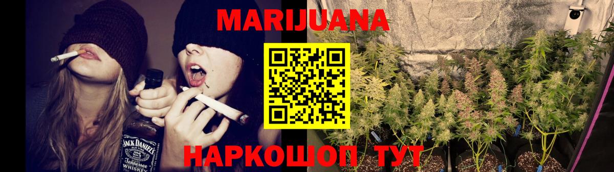Конопля Bruce Banner Щёкино